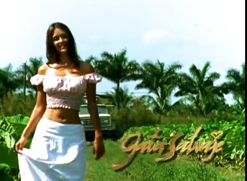 Gata Salvaje Resumén Capítulo 20.