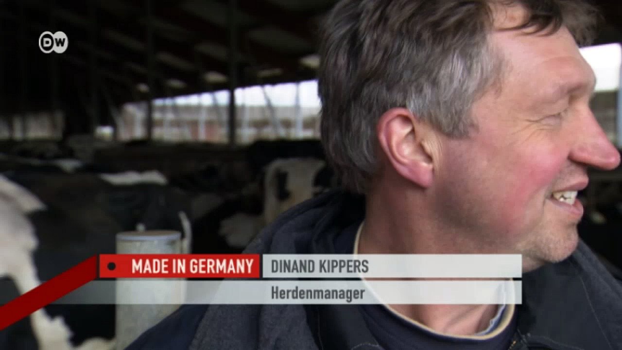 Turbokühe - trotz Schleuderpreise für Milch | Made in Germany