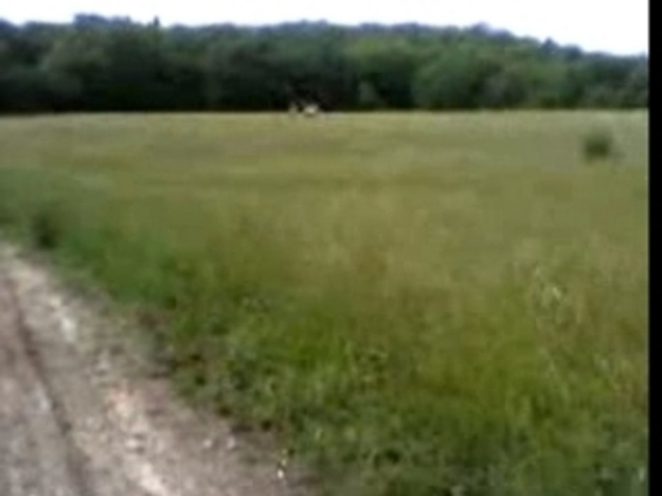 Riwa yz   Crf yz crf