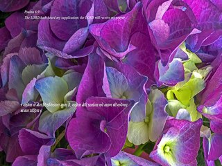 Christian Song: Ye Mera Dil Deewana Tera