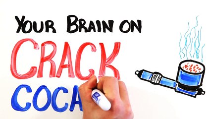 Your Brain on Crack Cocaine