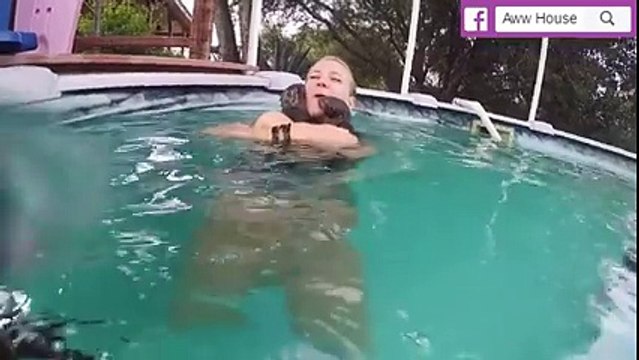 Petit bain avec des bébés loutres... Adorable