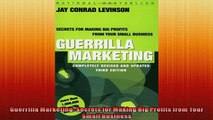 FREE DOWNLOAD  Guerrilla Marketing Secrets for Making Big Profits from Your Small Business  BOOK ONLINE