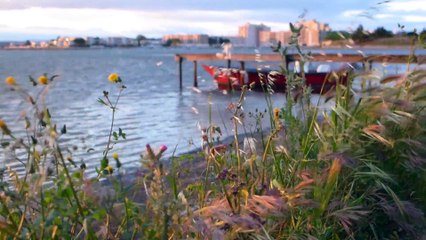 1er mai 2016 au Pont Levis - Sète