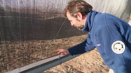 Atacama, el desierto más árido del mundo, bebe agua de niebla