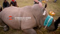 Vétérinaires de l’extrême - Vendredi 10 juin à 20h45 sur PLANÈTE+