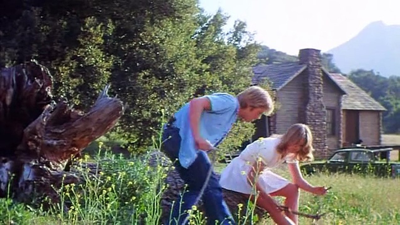 The Great American Girl Robbery (1979) 2/2
