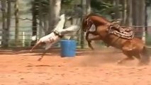 Horse Riding Falls and Fails-Funny Videos-Whatsapp Videos-Prank Videos-Funny Vines-Viral Video-Funny Fails-Funny Compilations-Just For Laughs