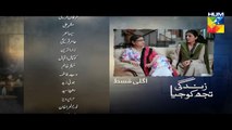 Zindagi Tujh Ko Jiya Episode 41 Promo HD Hum TV Drama 28 April 2016