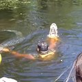 Airboat guide feeds alligators from his mouth