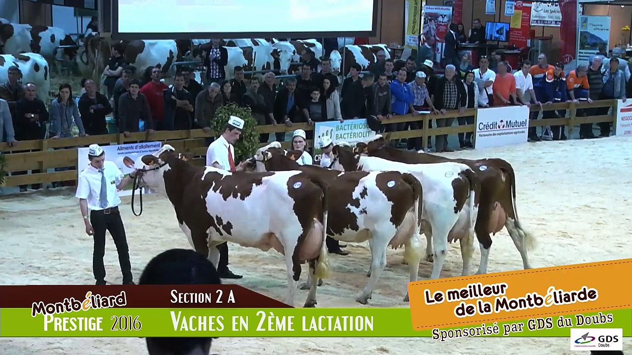 Montbéliard Prestige Streaming Live