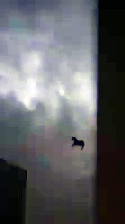Fake Video about flying Horse in saudi arebia