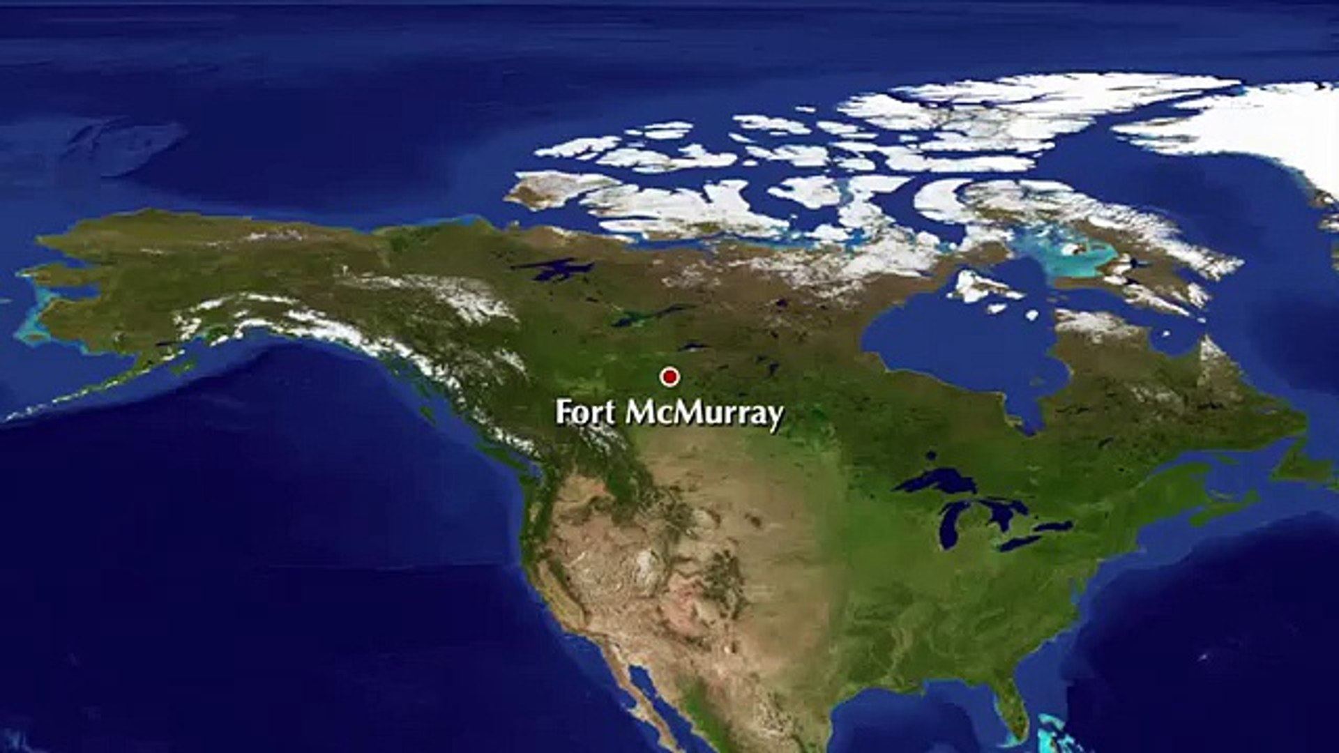 Working Out When All of a Sudden a Bear Pays a Visit-Funny & Entertainment Clips-Funny  Entertai