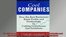 READ THE NEW BOOK   Cool Companies How the Best Businesses Boost Profits and Productivity by Cutting  FREE BOOOK ONLINE