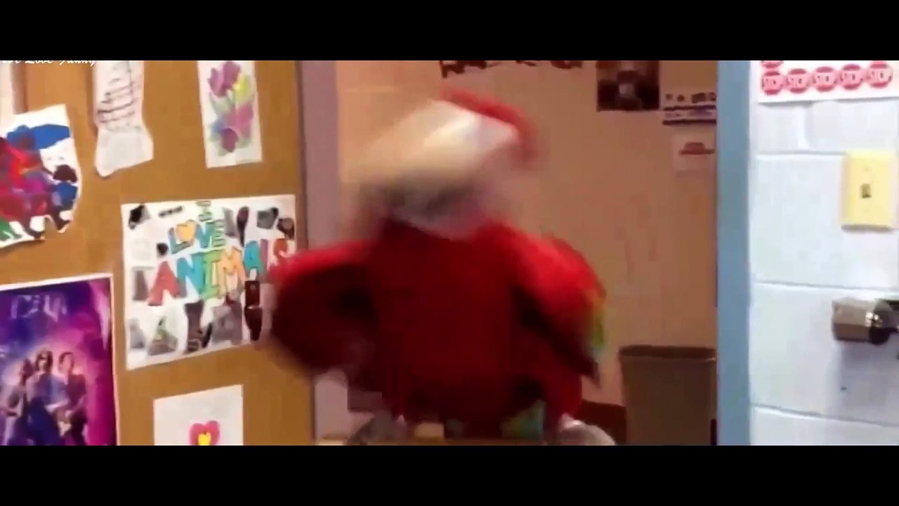 Watch this I dare you!