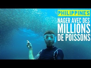 PHILIPPINES : Nager avec des MILLIONS DE POISSONS