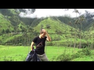 COLOMBIE : des PALMIERS en pleine MONTAGNE vallée de Cocora