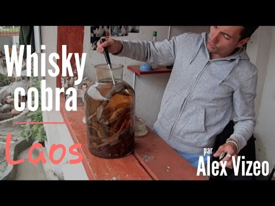 LAOS : j'ai testé le WHISKY COBRA