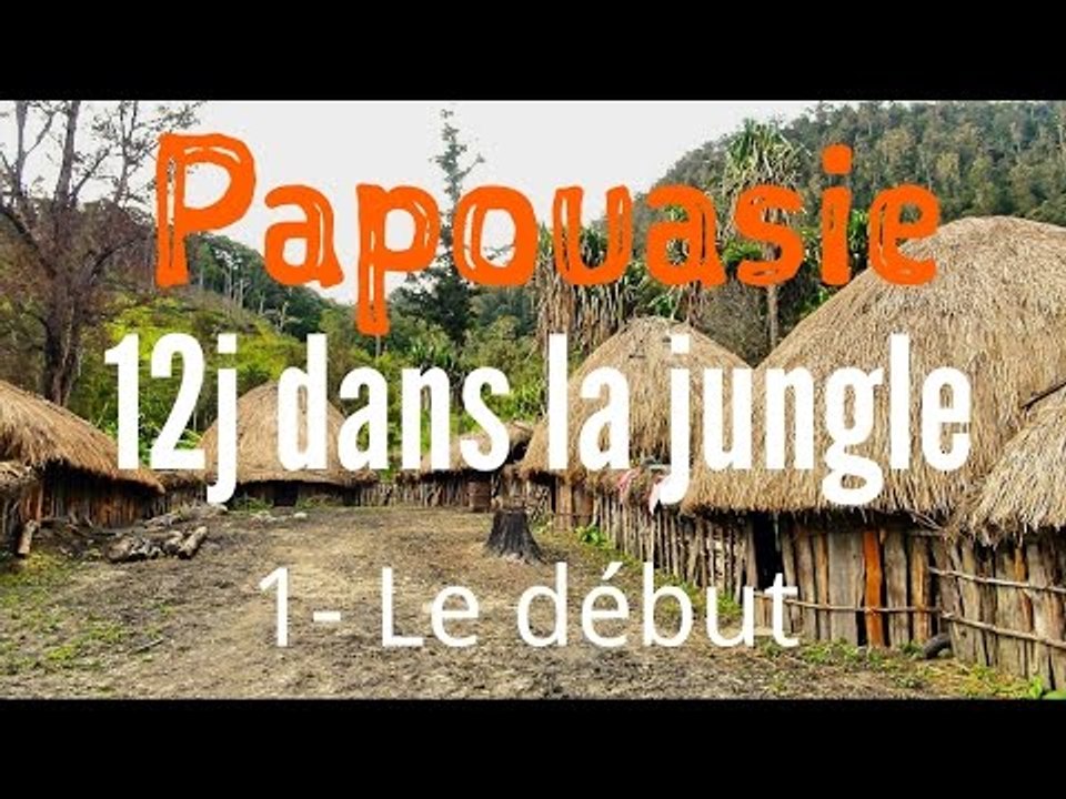 PAPOUASIE : le début de 12j dans la JUNGLE