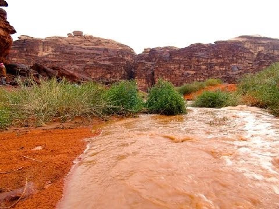 Jordanie - Randonnée à cheval dans le Wadi Rum : L'orage en plein désert