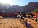 Jordanie - Randonnée à cheval dans le Wadi Rum : arrivée dans le désert