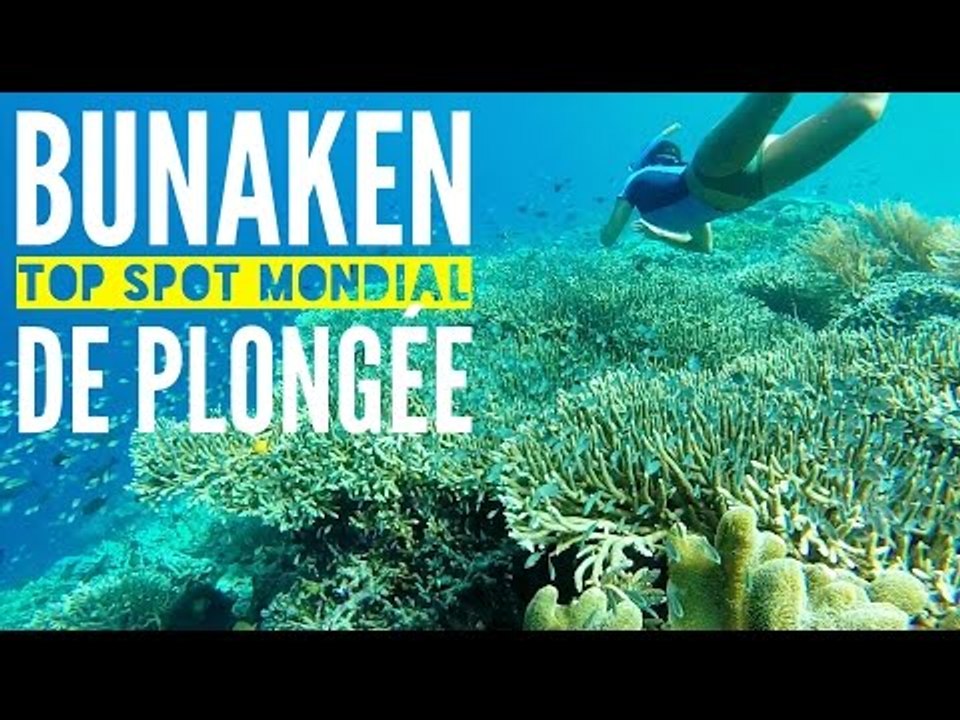 INDONÉSIE (Sulawesi) : Bunaken Top 5 mondial pour la plongée