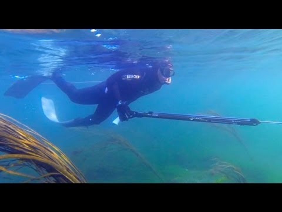 La chasse sous marine en Bretagne - j'ai testé pour vous !