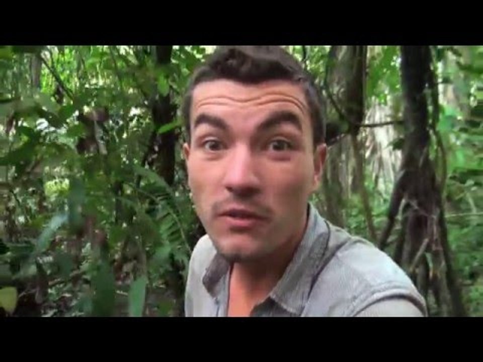 BOLIVIE : trek de SURVIE en AMAZONIE -6- réveillé par des bêtes SAUVAGES