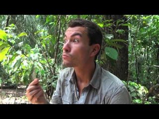 BOLIVIE : trek de SURVIE en AMAZONIE -8- manger des TERMITES