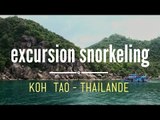 KOH TAO - Thaïlande :  Excursion snorkeling