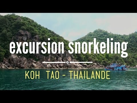 KOH TAO - Thaïlande : Excursion snorkeling