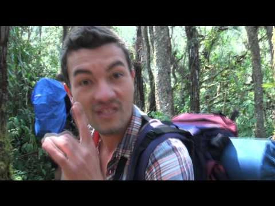 BOLIVIE : nuit dans la JUNGLE du Pars Amboro - 2ème partie