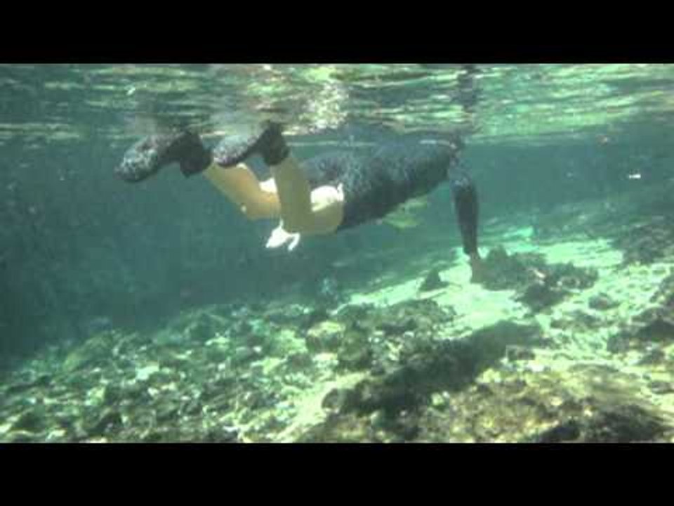 BRÉSIL : Nager dans les rivières crystallines de Bonito !