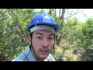 BRÉSIL : perroquets, caïmans et chevauchée dans l'eau au PANTANAL