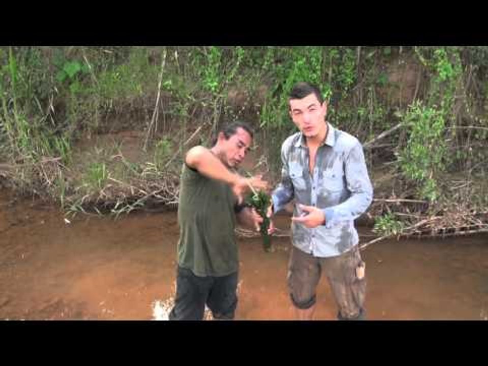 BOLIVIE : trek de SURVIE en AMAZONIE -1-  trouver à manger