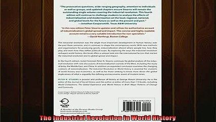 READ book  The Industrial Revolution in World History READ ONLINE