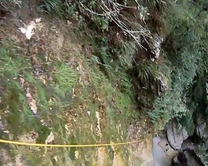 Canyon Ruzand (Watching The Detectives)