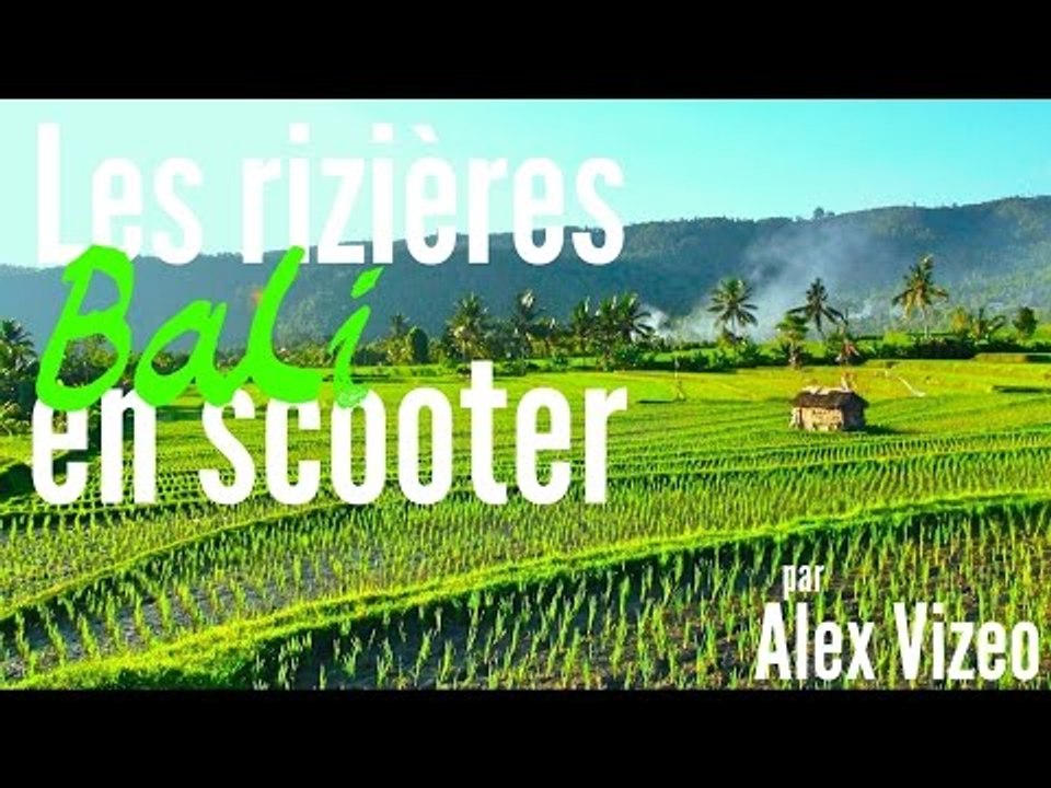 BALI : super spots pour voir CASCADES + Rizières