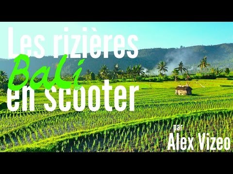 BALI : super spots pour voir CASCADES + Rizières