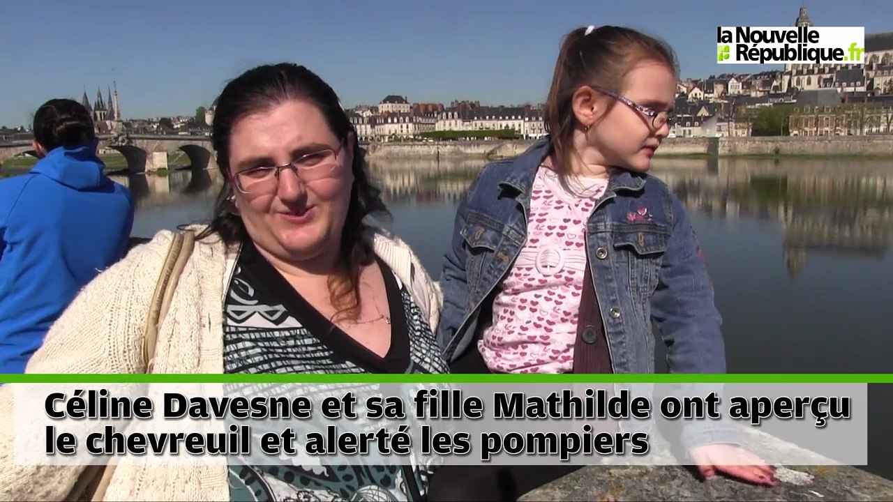 VIDEO (41) Un chevreuil coincé sur une barque en bord de Loire à Blois