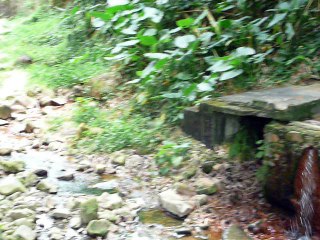 ST. LUCIA 060 P1080686