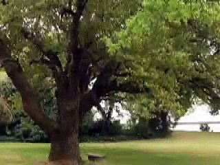 TGI Video Rough Cut