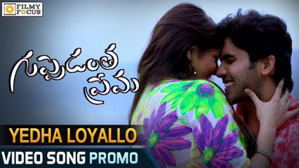 Yedha Loyallo Video Song Trailer - Guppedantha Prema Movie Songs - Sai Ronak, Aditi Singh