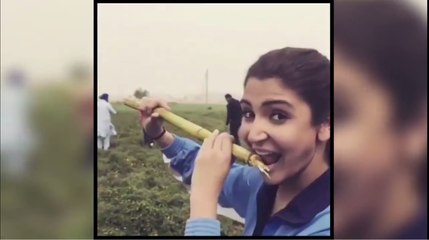 Anushka Sharma and Salman Khan are having a lot of FUN