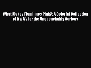 Download What Makes Flamingos Pink?: A Colorful Collection of Q & A's for the Unquenchably