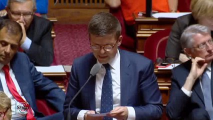 QAG de Luc Carvounas du 3 mai 2016