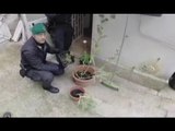 Bari - Studenti fuori sede coltivavano marijuana in casa (04.05.16)