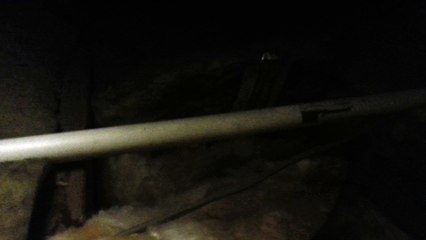 PVC Drainage Leak