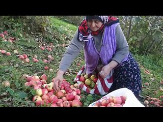 Osman Ozturk  Trabzonun Maçkasi [2010]