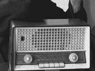 Kühe Im Nebel - Rain Bow Bow